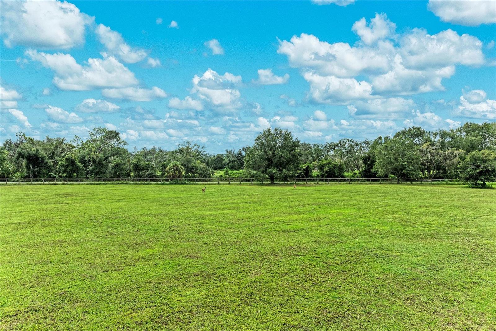 SARASOTA RANCH CLUB - Residential