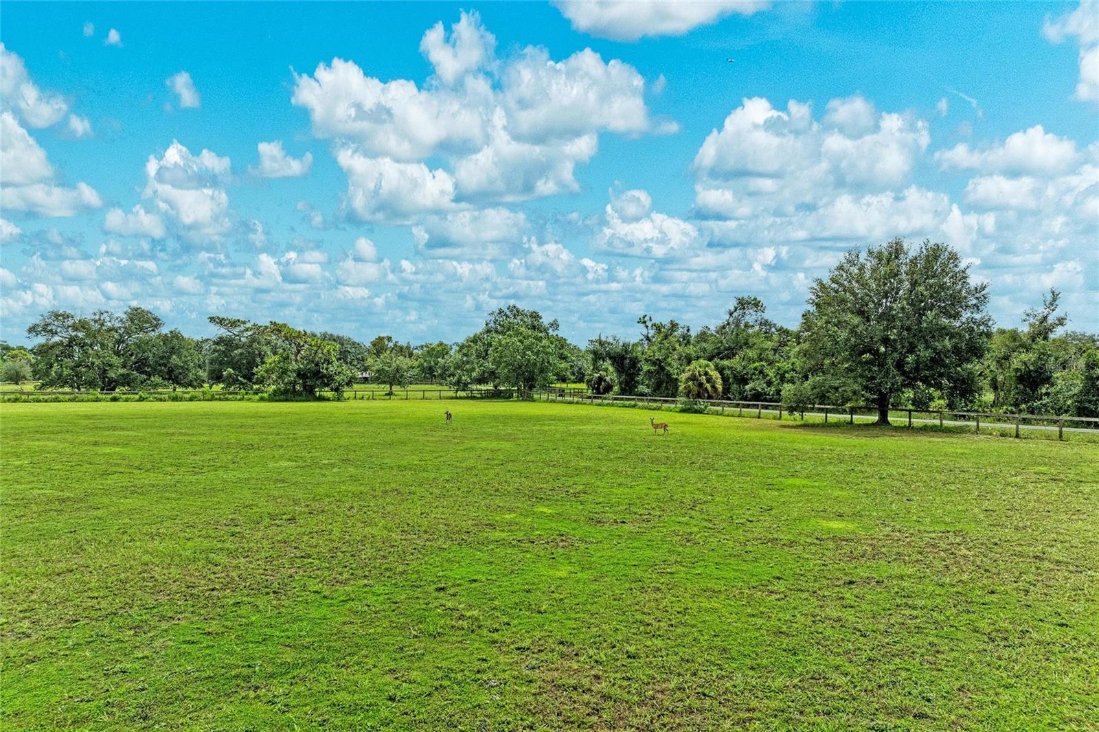 SARASOTA RANCH CLUB - Residential