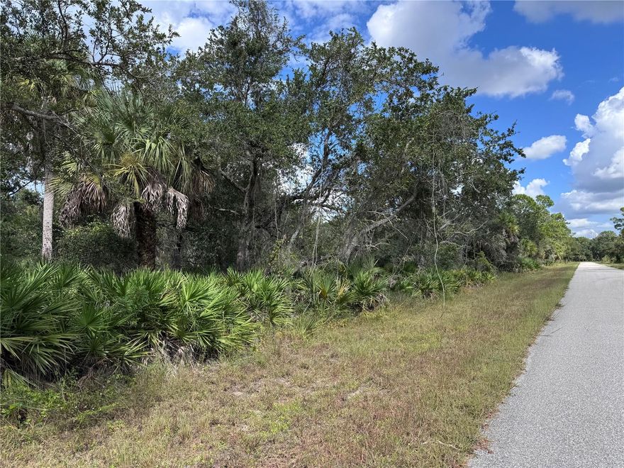 Vacant lot  NOT Wetland and NOT in Scrub Jay zone according to public site data. NO HOA. Seller never did any official studies on the lot.