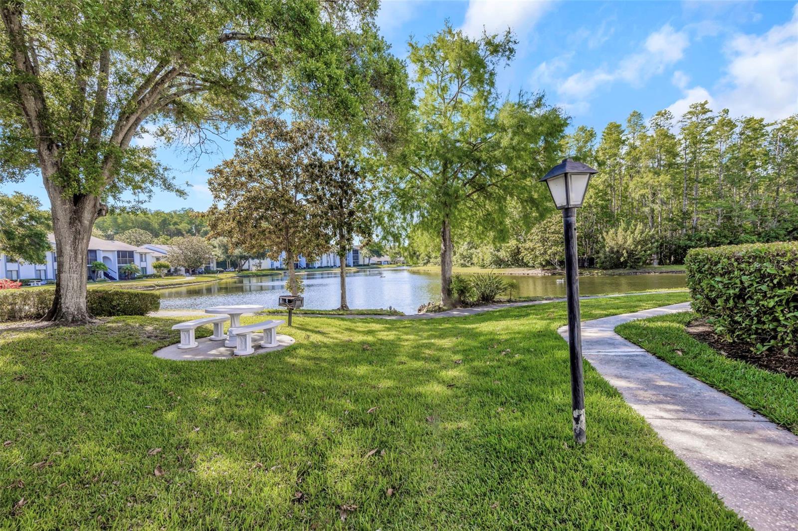 PINE RIDGE AT LAKE TARPON VILLAGE - Residential