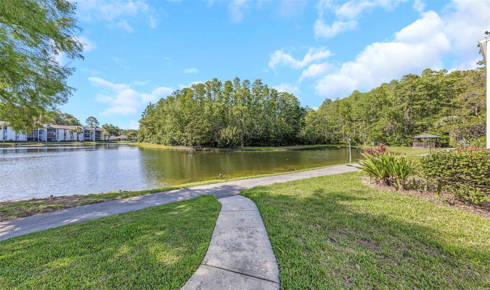 PINE RIDGE AT LAKE TARPON VILLAGE - Residential
