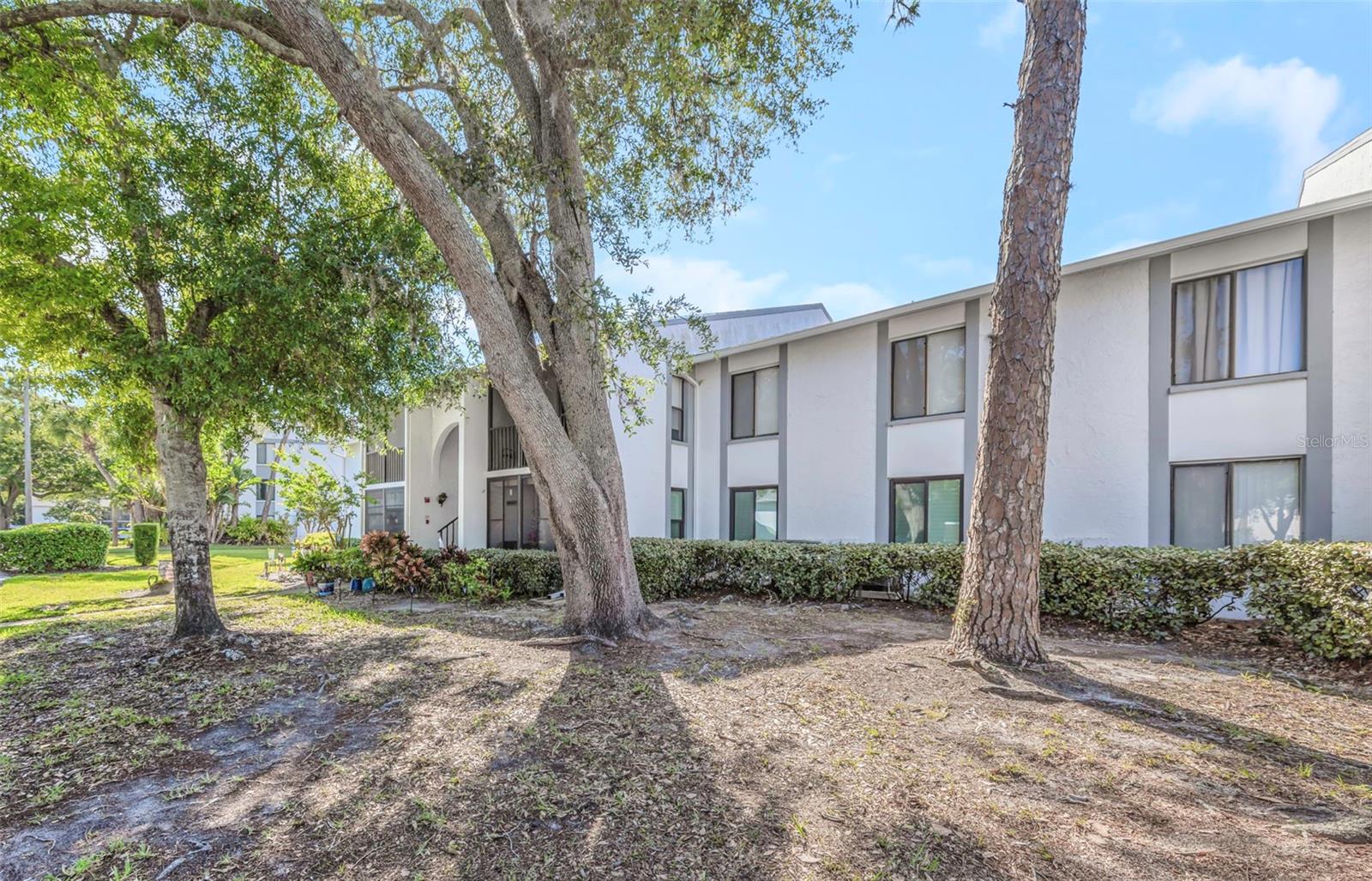 PINE RIDGE AT LAKE TARPON VILLAGE - Residential