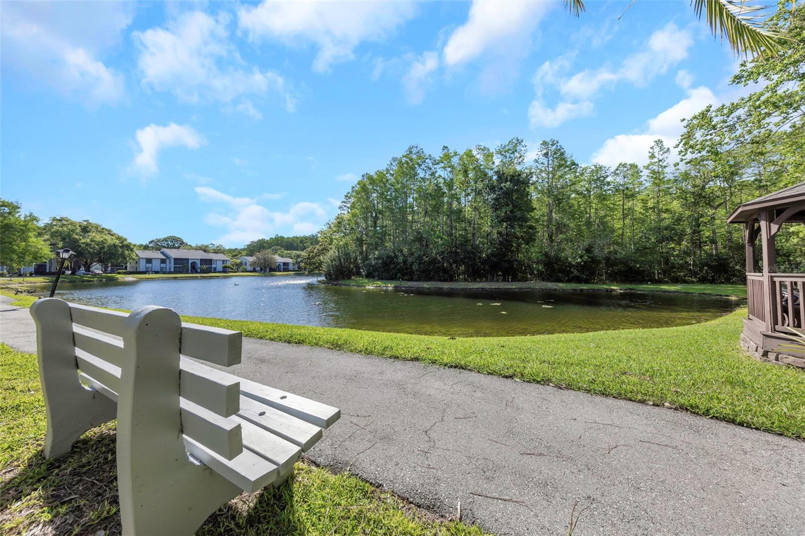 PINE RIDGE AT LAKE TARPON VILLAGE - Residential