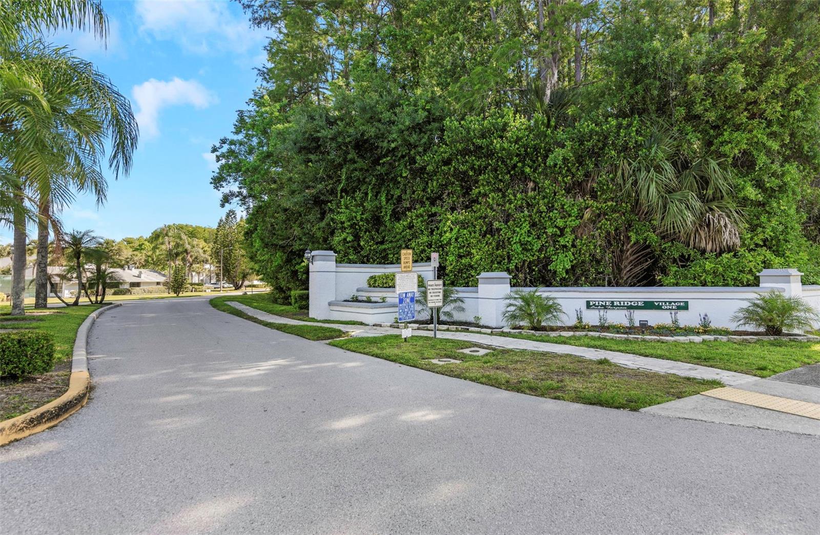 PINE RIDGE AT LAKE TARPON VILLAGE - Residential