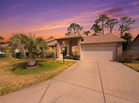 Photo of 11503 Baronwood Court, Hudson, FL 34667 (MLS # W7884606)