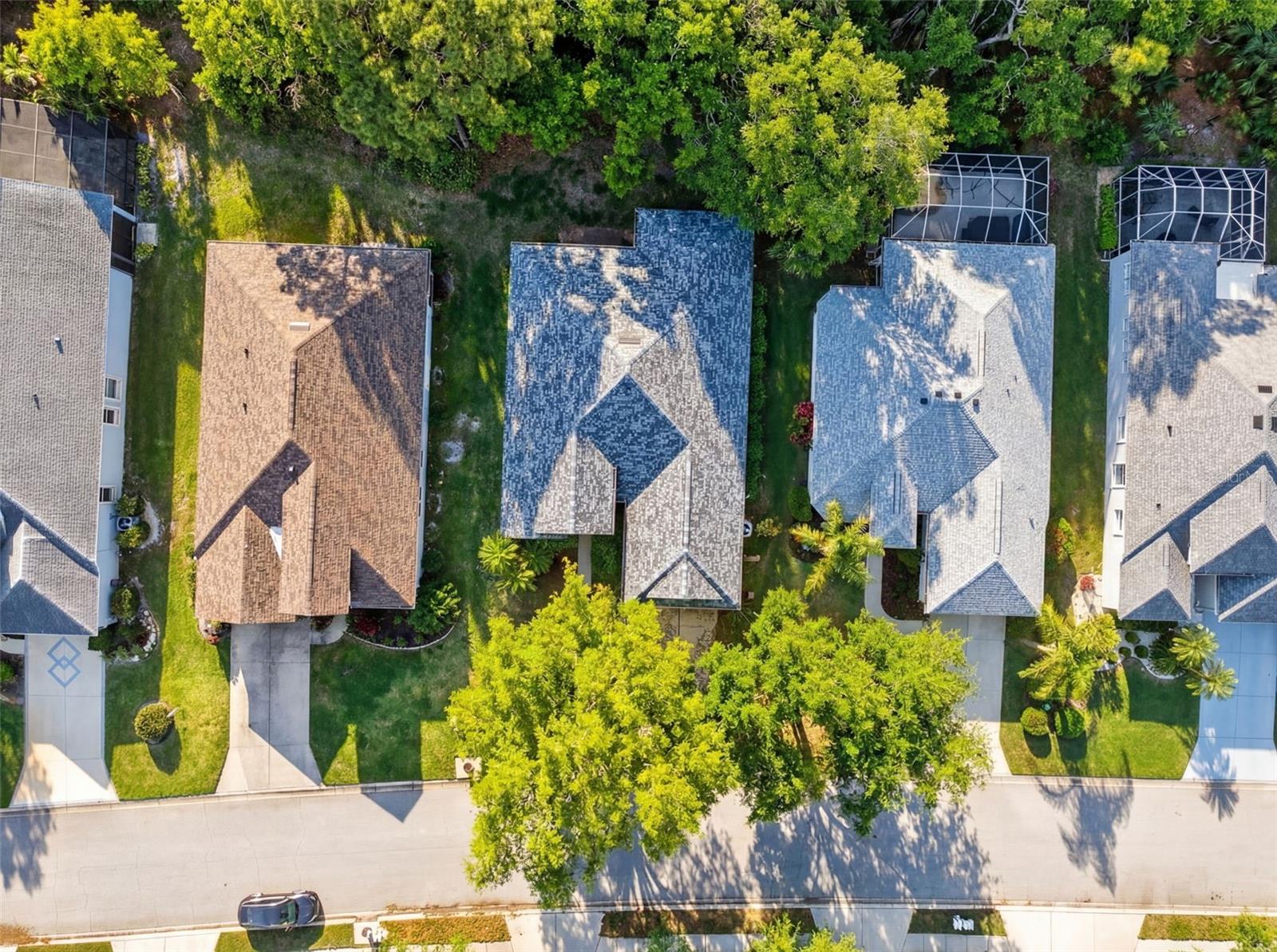 CARLYLE AT VILLAGES OF PALM-AIRE - Residential