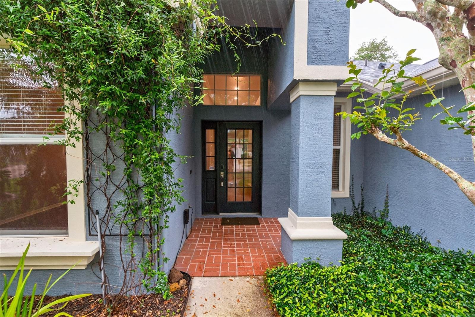 CARLYLE AT VILLAGES OF PALM-AIRE - Residential