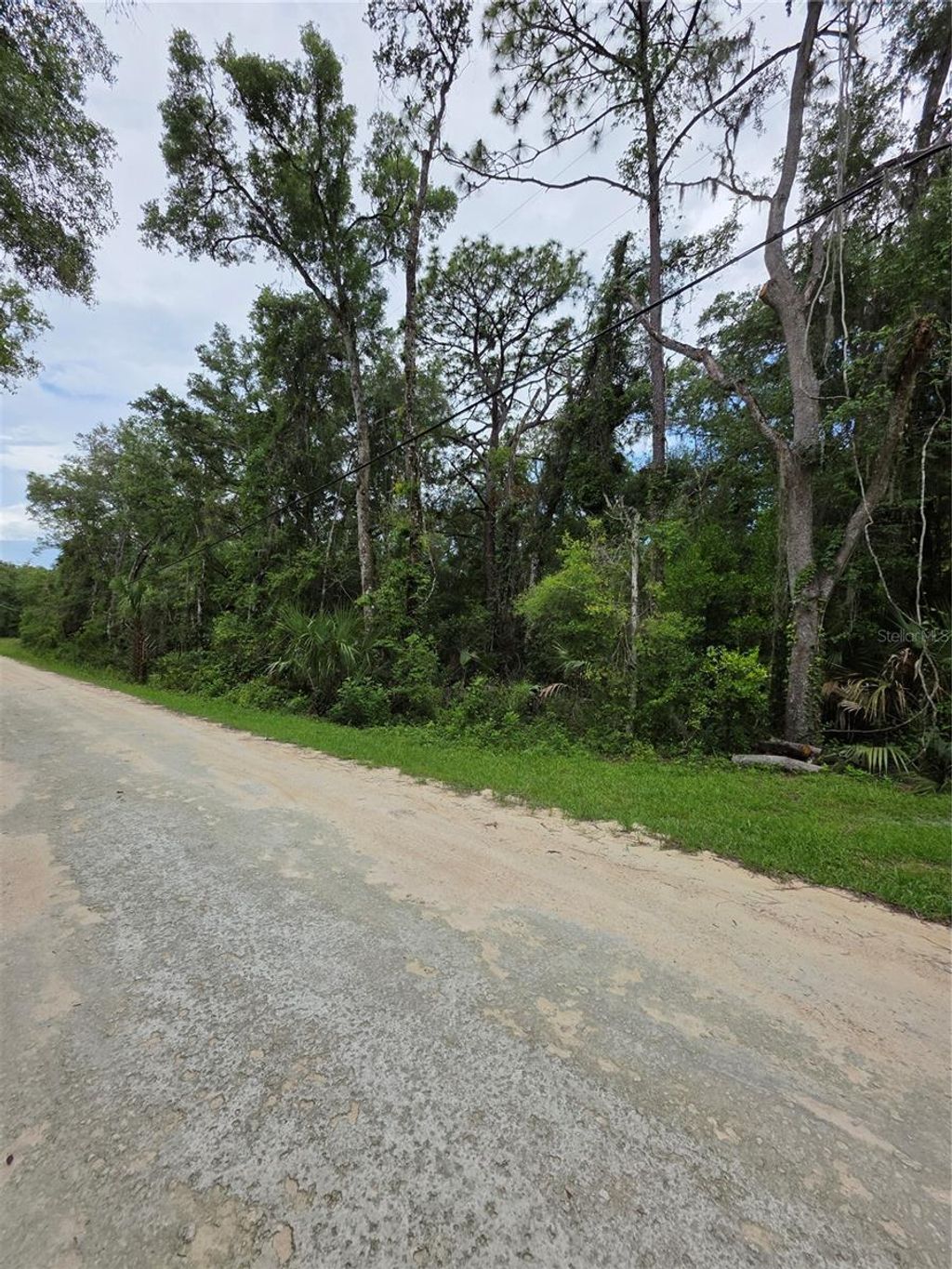 Photo of 0 Pointview Road, Brooksville, FL 34601 (MLS # W7886223)