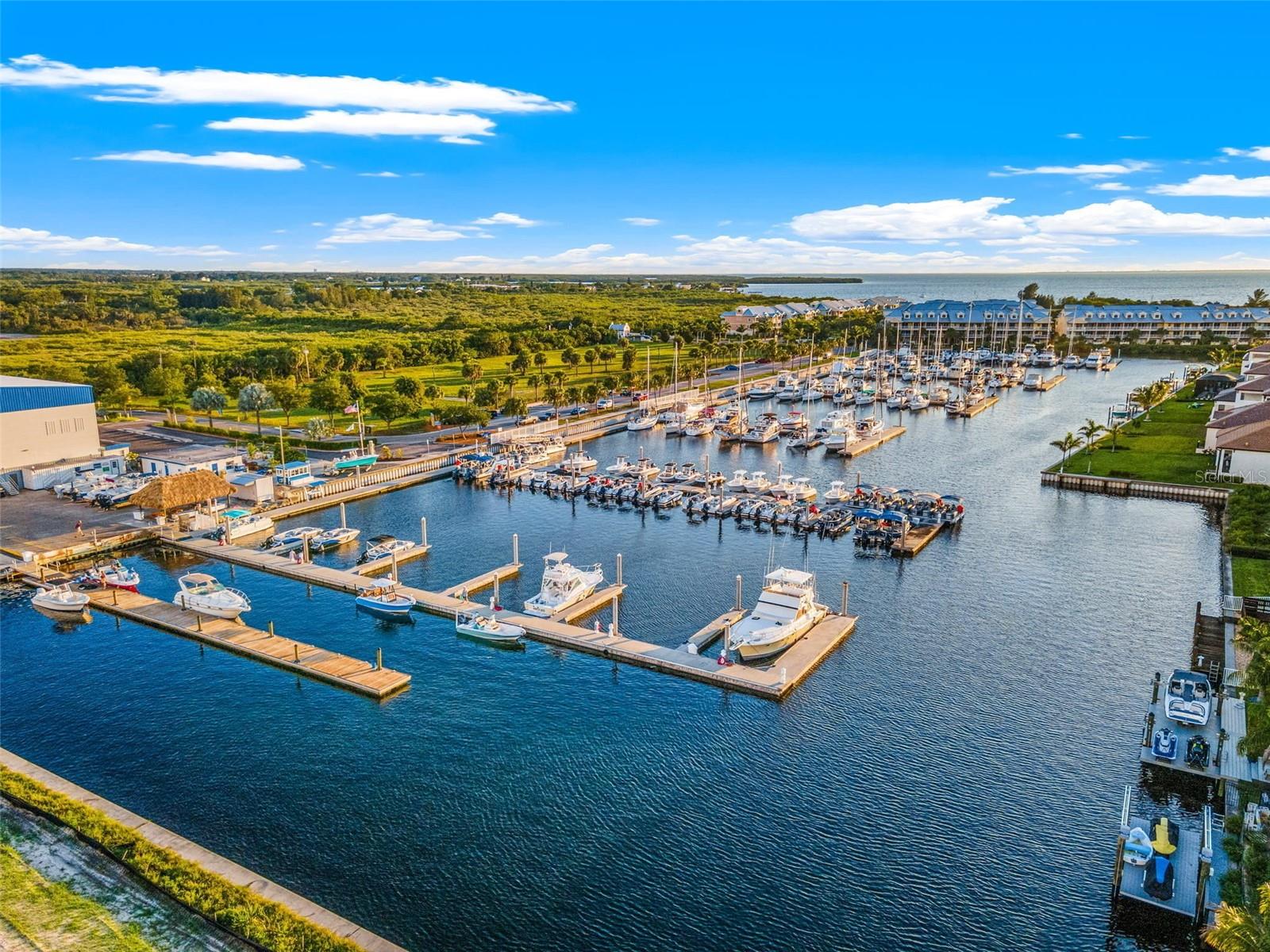 ANTIGUA COVE PH 2 - Residential