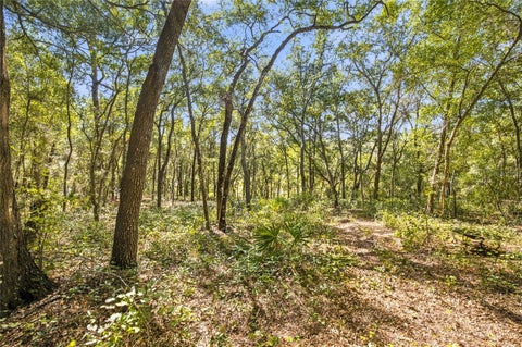 Tiny photo for Tbd SE 160 Court Road, Ocklawaha, FL 32179 (MLS # OM734603)