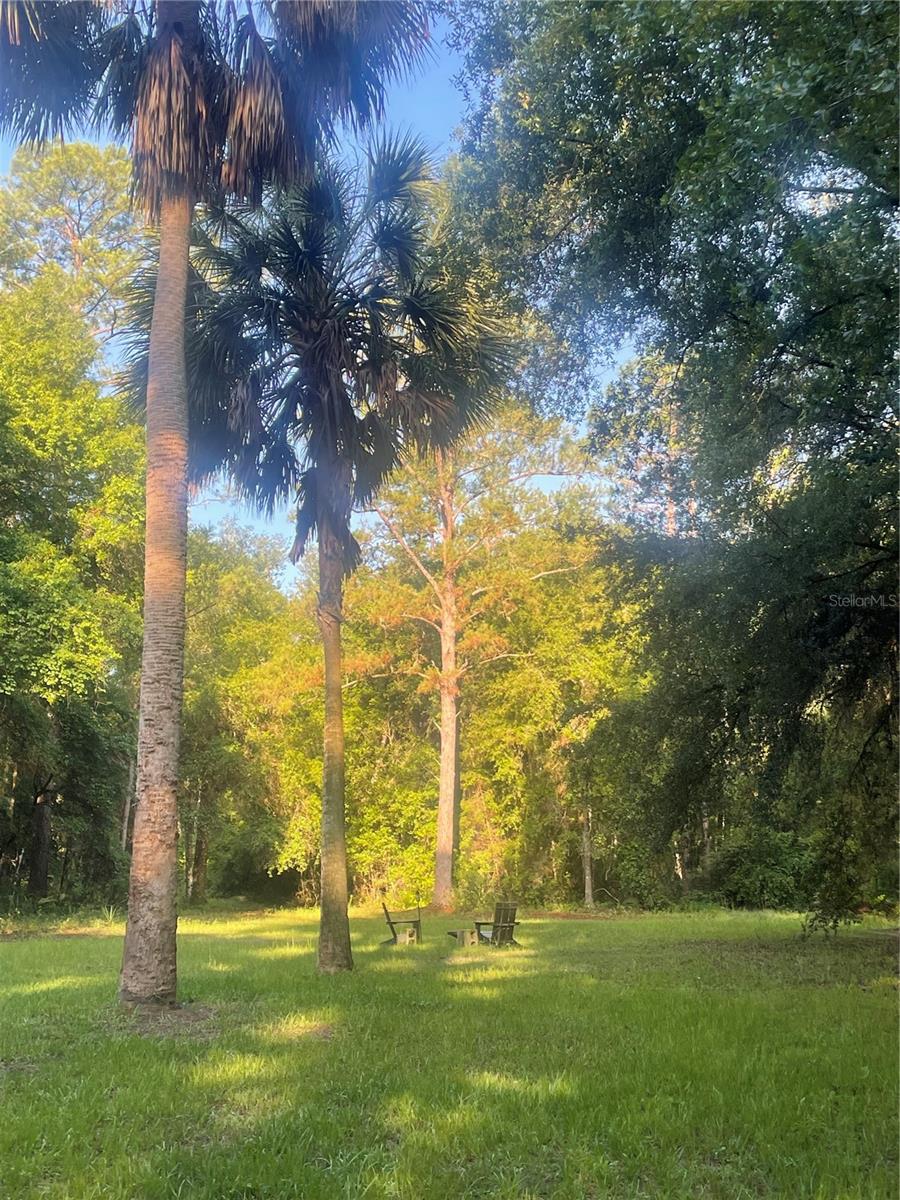 OCKLAWAHA RIVER LANDINGS - Residential