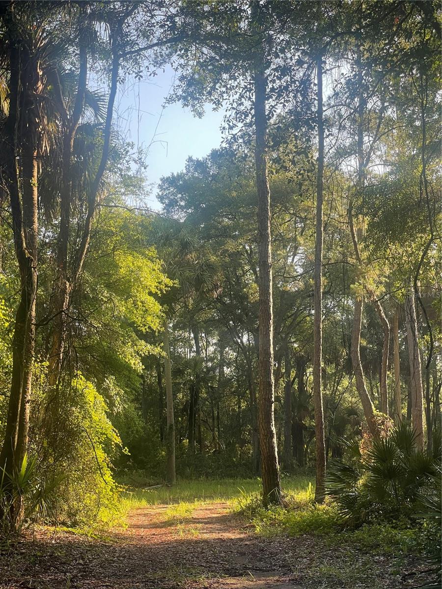 OCKLAWAHA RIVER LANDINGS - Residential