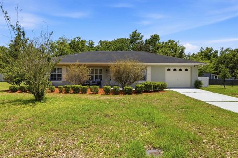 Photo of 37744 Amelia Avenue, Dade City, FL 33525 (MLS # TB8510866)
