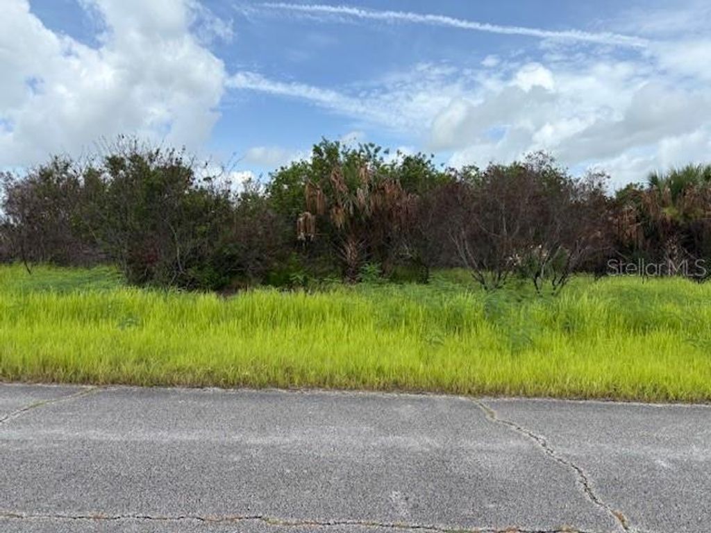 Photo of 2495 Legion Avenue, Palm Bay, FL 32908 (MLS # V4943681)