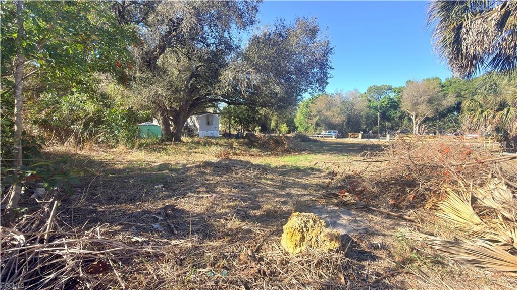 SUNCOAST ESTATES - Land