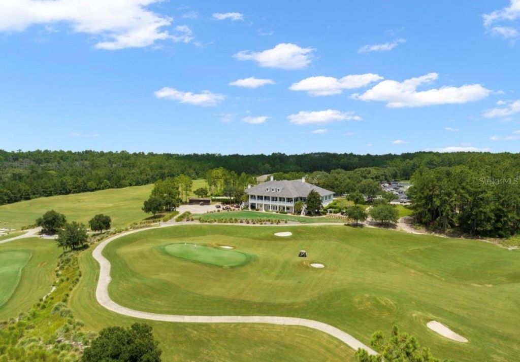 Photo of 19612 Sterling Bluff Way, Brooksville, FL 34601 (MLS # TB8489293)