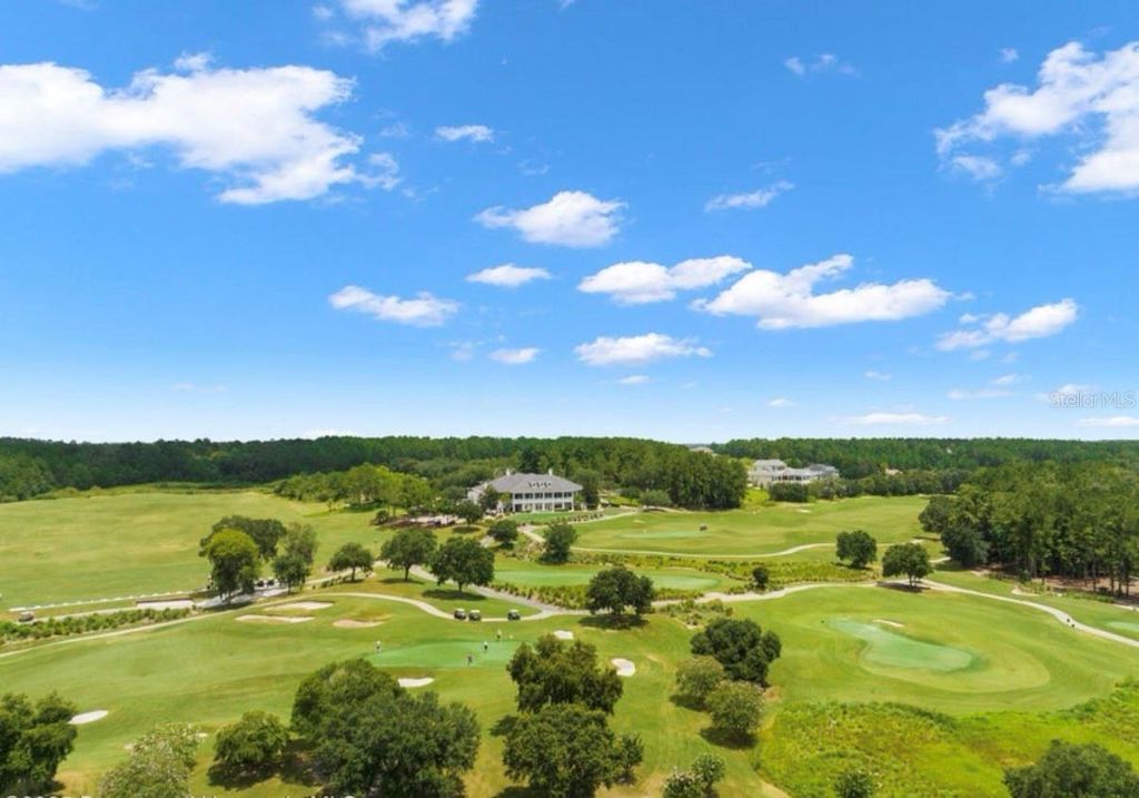 Photo of 19612 Sterling Bluff Way, Brooksville, FL 34601 (MLS # TB8489293)