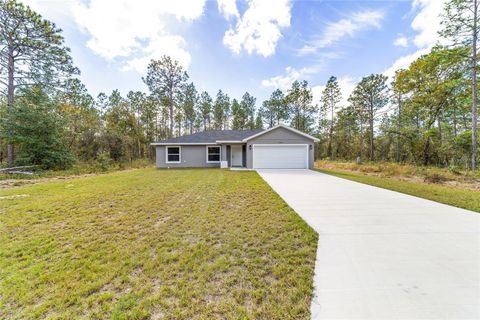 A home in DUNNELLON