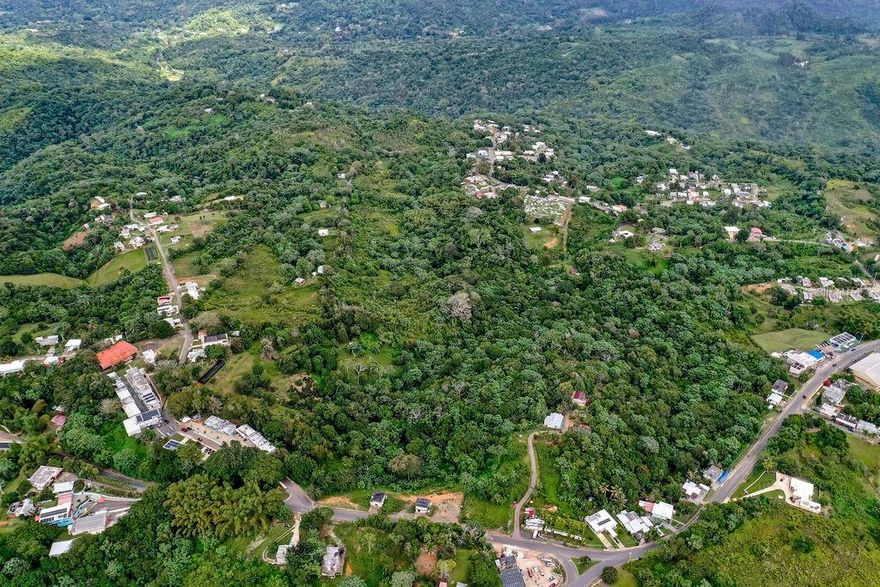 Located in the mountains of Utuado, Puerto Rico, this 67 acre property presents a unique opportunity to own a piece of Puerto Rico history. Once part of Hacienda Isabel, a celebrated coffee estate, this land was dedicated to cultivating Arabica coffee, known for its rich flavor and superior quality. Now, it's ready for its next chapter, whether you're looking to restore its historic roots or explore new possibilities for agricultural or eco-tourism development. The land features a perfect combination of elevated terrain, fertile soil, and a mild climate an ideal setting for farming, eco-tourism, or development. The property's history as a coffee plantation highlights its potential for crop cultivation or creating unique experiences around coffee culture. With rich agricultural land that once supported Arabica coffee, expansive mountain views, and lush landscapes, this property offers endless opportunities for development. It is perfectly suited for eco-tourism, farming, hiking trails, or creating a rustic lodge. The land holds significant historical value, offering a direct connection to Puerto Rico's coffee tradition. This land is a rare opportunity to own a piece of Puerto Rico coffee history while enjoying the beauty and tranquility of the mountains. Explore the endless possibilities for future development and make this property your own.