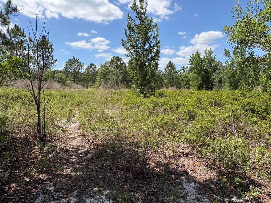 Build your dream home on this spacious 1.59-acre lot in Polk County. Enjoy privacy and flexibility in a peaceful rural setting with no HOA and over 160 feet of frontage on an unpaved county road.  Located in an X Flood Zone, offering peace of mind with minimal flood risk, with electricity available (well and septic needed). Zoned for single-family use with agricultural flexibility, perfect for those wanting extra space. Conveniently located off San Juan Ave and Green Pond Road, near SR-33/Commonwealth Ave N and close to SR-474, with easy access to I-4 for commuting to Tampa or Orlando, this property offers a quiet rural feel while still being close to everything. A rare opportunity to own land and build your way.