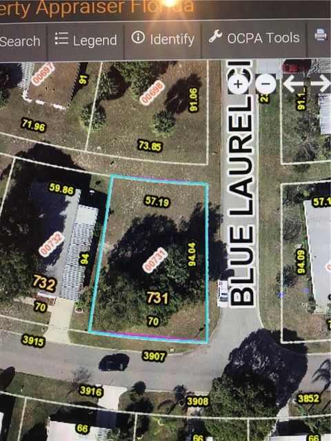 3907 COHEN DRIVE 731 ZELLWOOD FL 32798