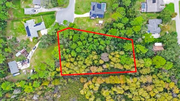 EUSTIS TIMBER OAKS - Land