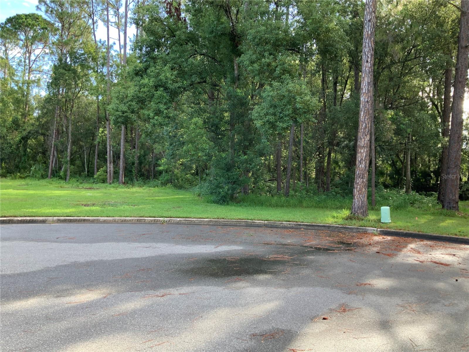 This neighborhood feels like you are so far away from everything and it's all just around the corner. Large 1.3 acre lot located on a cul de sac with many other very nice properties surrounding the area. The community is located just minutes to all the common everyday needs and so peaceful all at the same time. Great area for walking, sitting out and just enjoying nature or take a bike ride. You will definitely enjoy the comfort here in this community. Build your dream home and make this your own private oasis. There are several parks, a variety of nature trails, lakes and so much more. Easy commute to most major surrounding metro areas, shopping and dining. Let's see if this is a fit for you and your forever home.