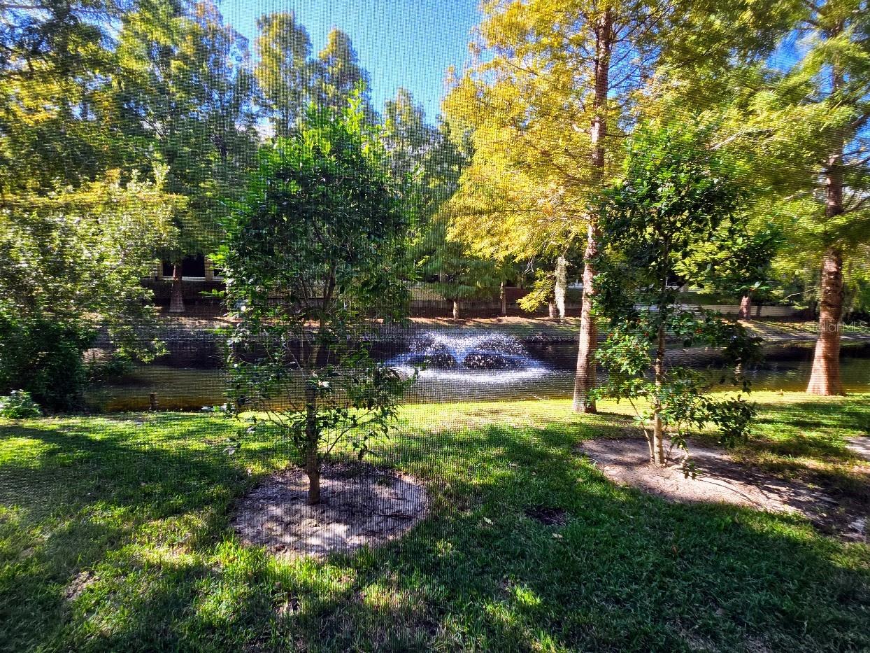 CALLISTA CAY - Residential Lease