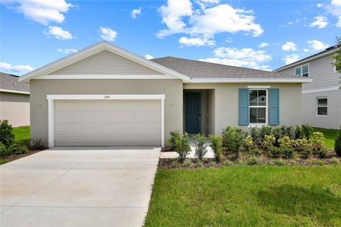 1114 OLIVINE AVENUE DUNDEE FL 33838