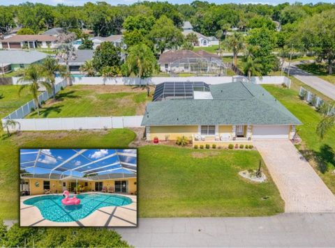 Photo of 1529 Sabal Palm Drive, Edgewater, FL 32132 (MLS # NS1088127)