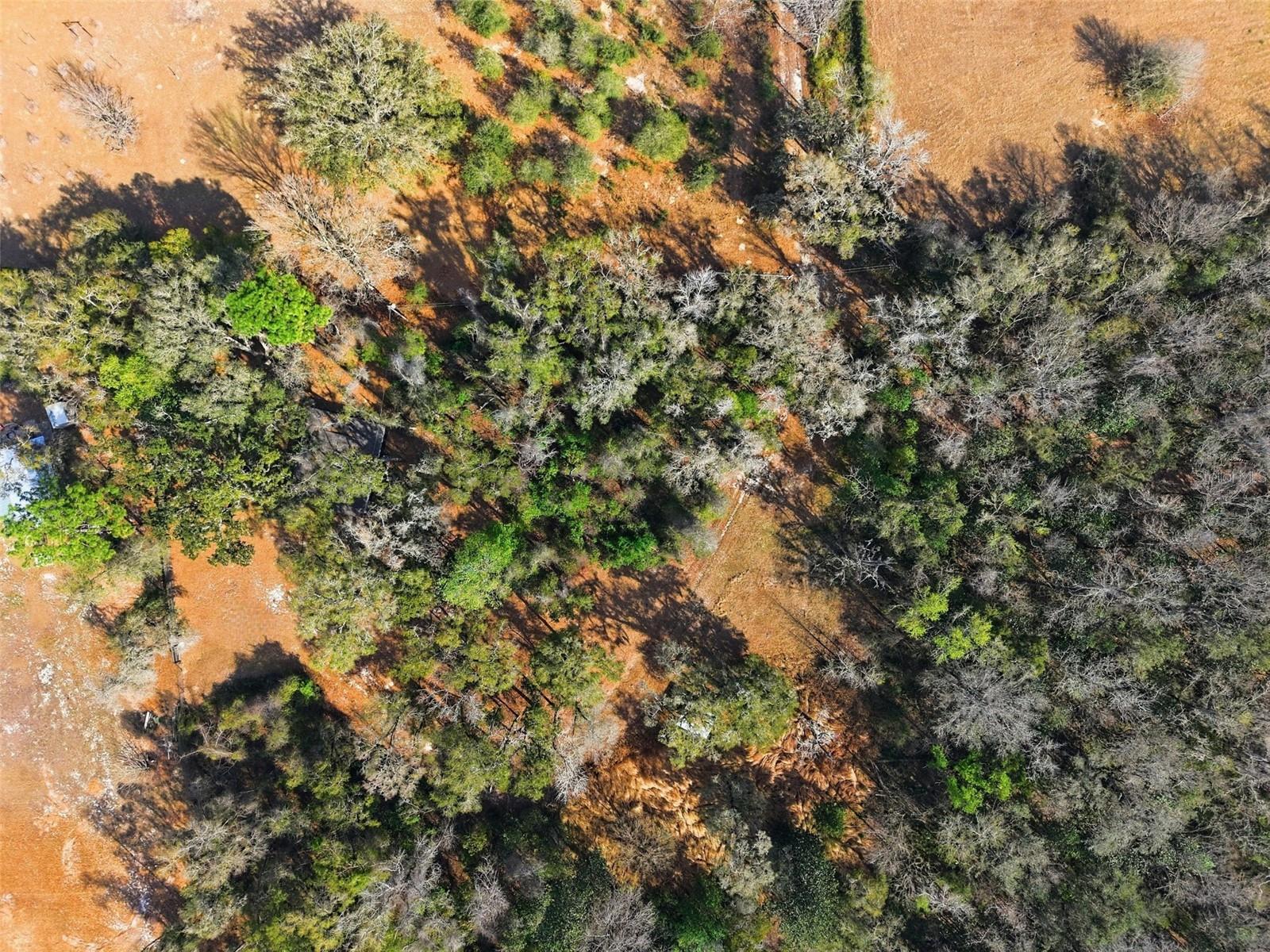 ACERAGE - Residential