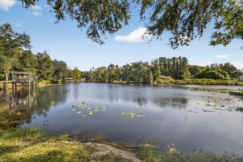 Photo of 3926 Cove Lake Place, Land O Lakes, FL 34639 (MLS # TB8447561)
