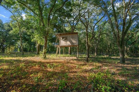 Tiny photo for 11060 SE 128th Place Road, Ocklawaha, FL 32179 (MLS # OM714613)