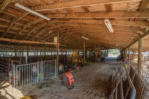 Tiny photo for 11060 SE 128th Place Road, Ocklawaha, FL 32179 (MLS # OM714613)