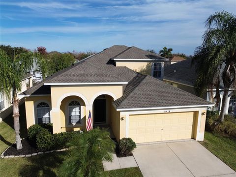 11426 VILLAGE BROOK DRIVE RIVERVIEW FL 33579