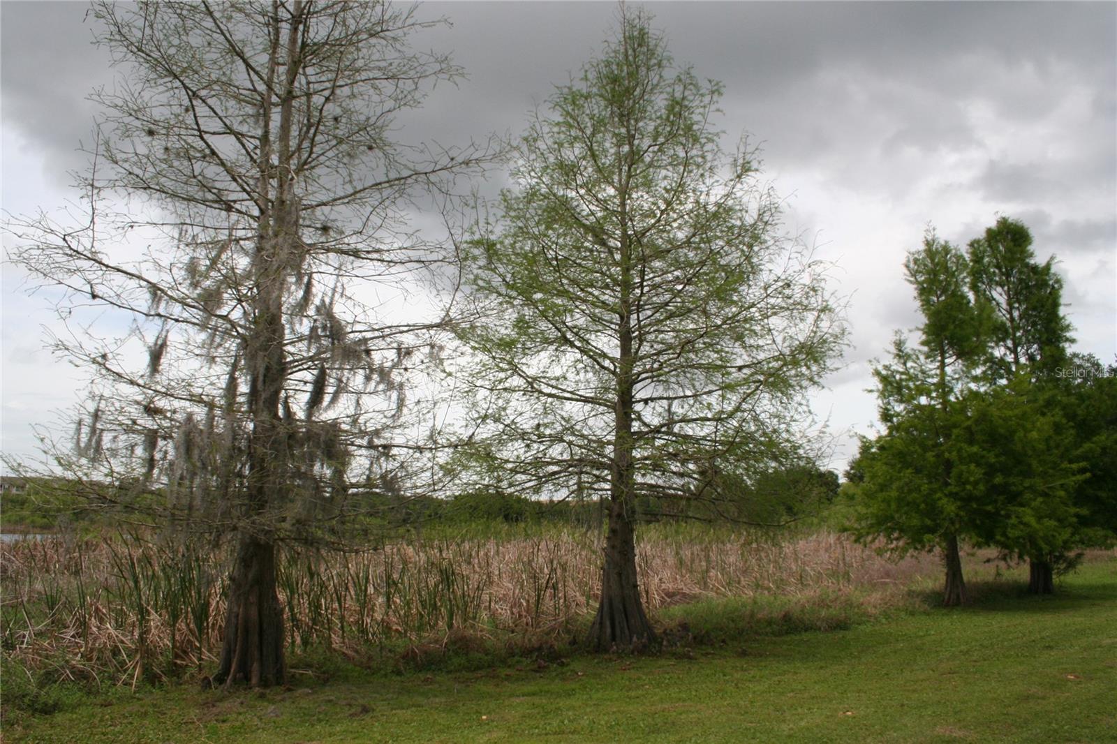 KAYWOOD REP - Residential