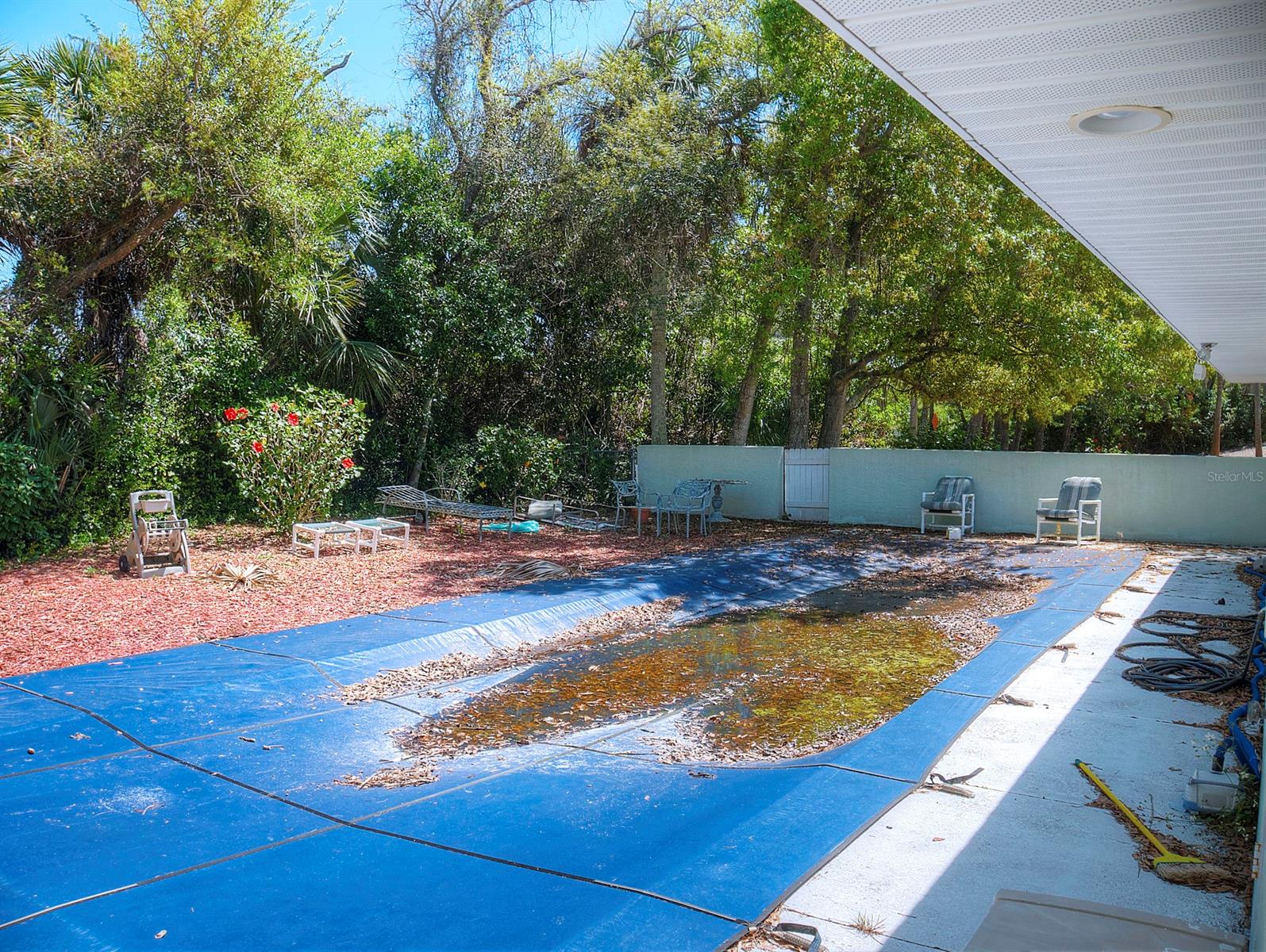 Saxon Court - Residential