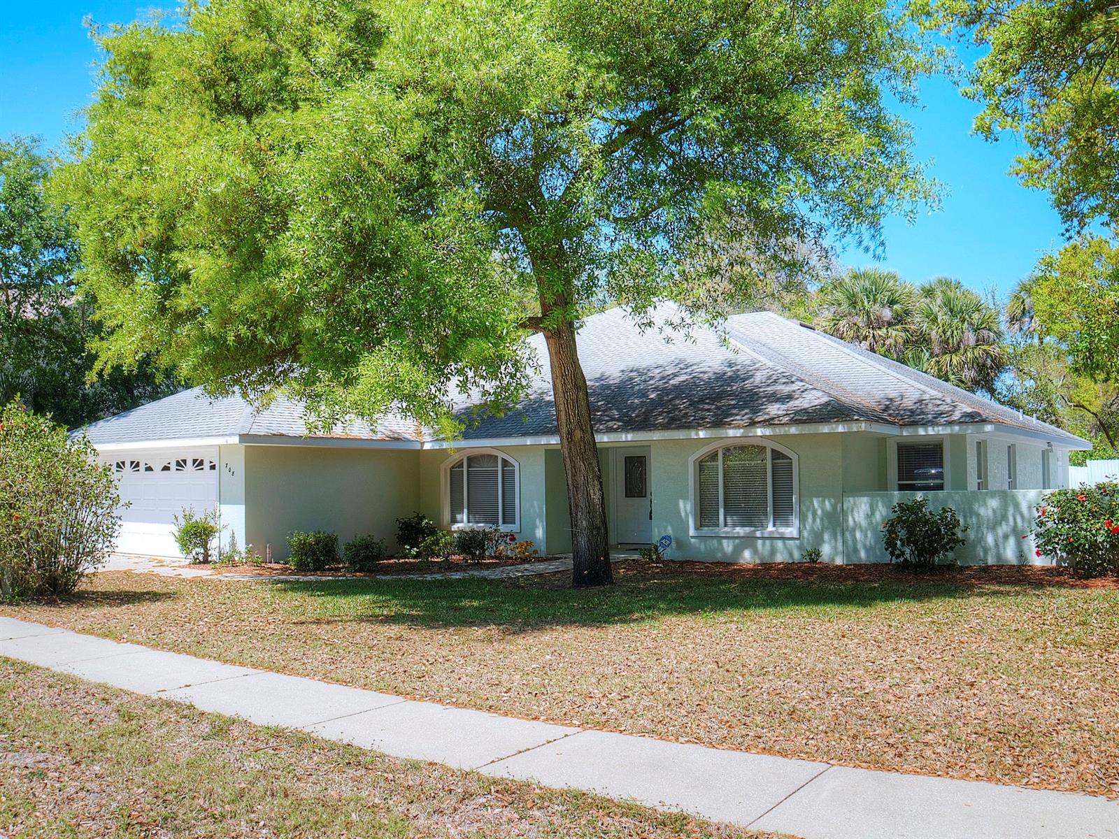 Saxon Court - Residential