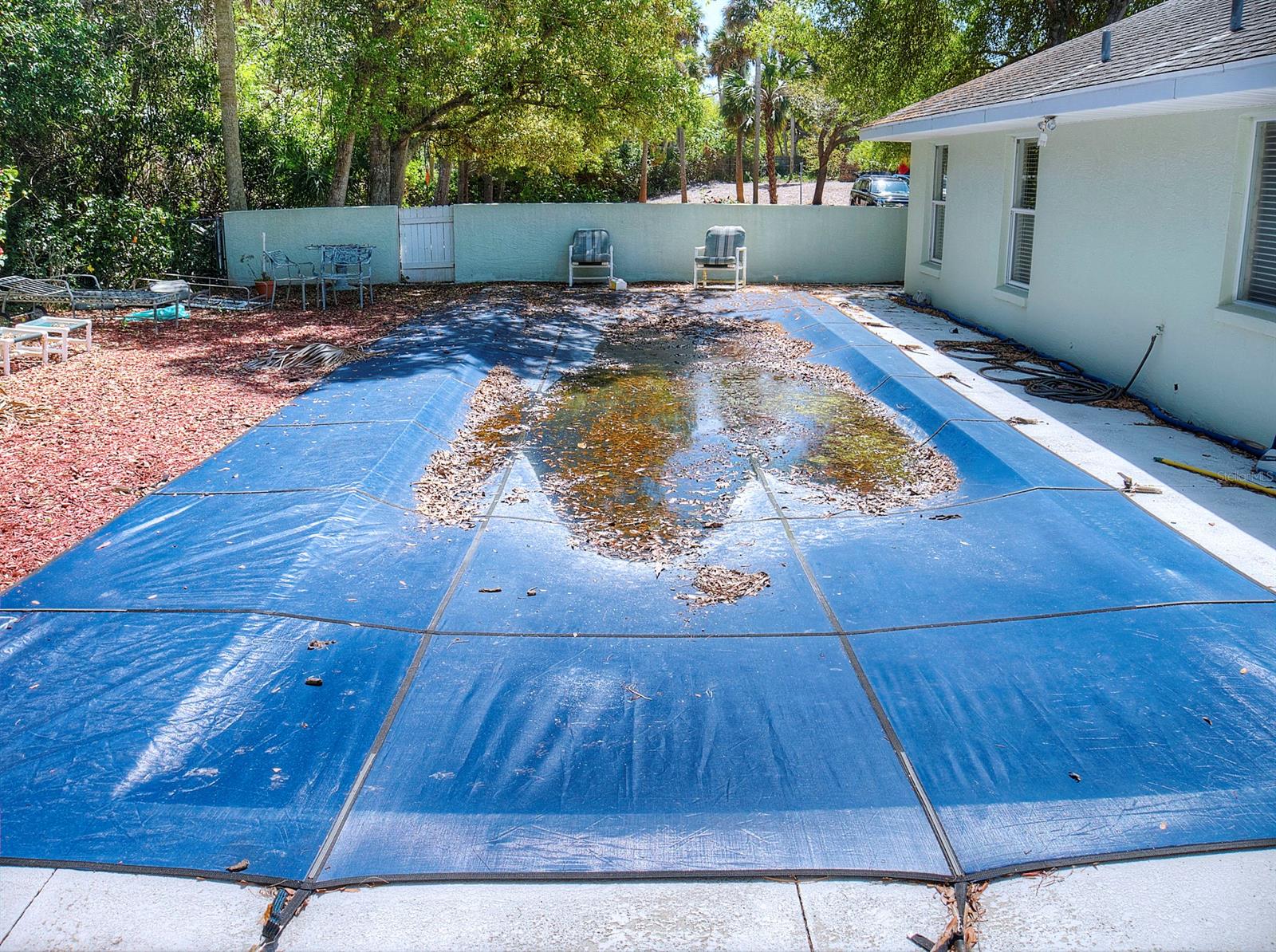 Saxon Court - Residential