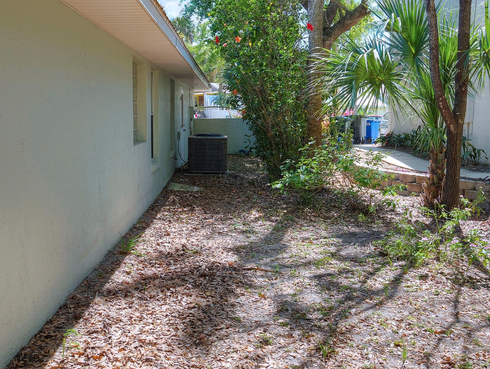 Saxon Court - Residential
