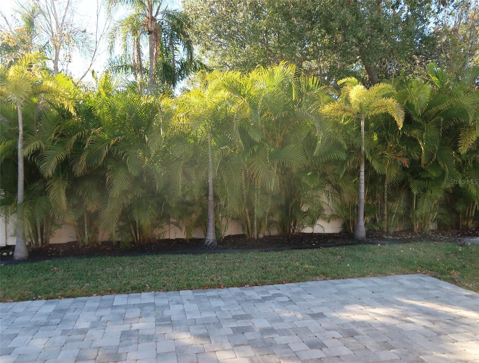 FOX TRACE - Residential