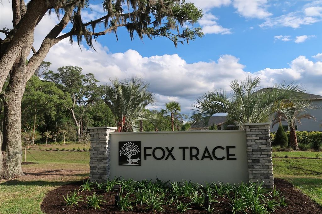 Photo of 2555 Fireflag Lane, Sarasota, FL 34232 (MLS # A4678489)