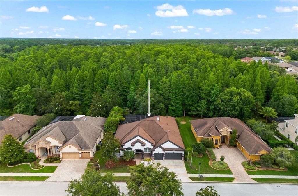 Photo of 15045 Wind Whisper Drive, Odessa, FL 33556 (MLS # TB8372308)