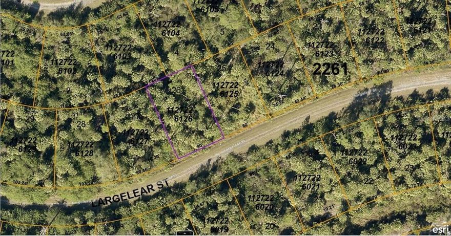 No HOAs with fees or deed restrictions or CDDs. Not on the North Port Scrub Jay list 11/15/23 - please reconfirm during due diligence. North Port is the 7th largest land mass in Florida-the 110th largest in the country!! The growth and potential are absolutely amazing. Conveniently located to shopping, dining, parks, and all that up and coming North Port has to offer (where so much of the city is new and still being built!) including the new Braves Spring Training Stadium. Many beaches located within a 35 minute drive from this lot. New construction is everywhere you look and you can be part of the action. Information about local builders is available upon request. Also great for self directed IRAs, 401Ks and other investment portfolios.