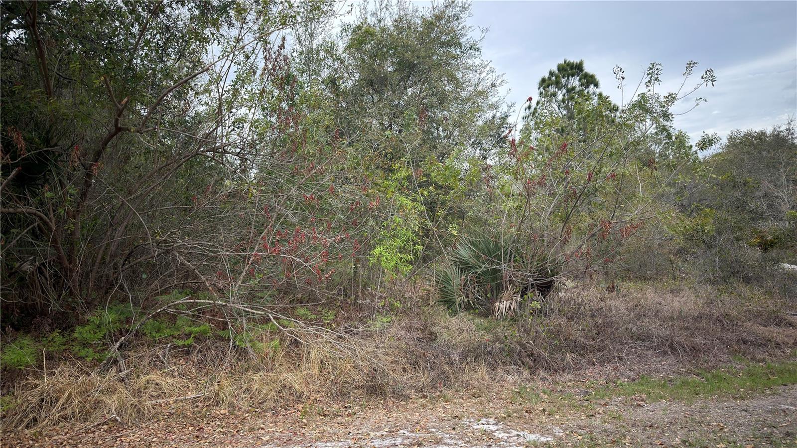 HIGHLANDS PARK ESTATE - Land