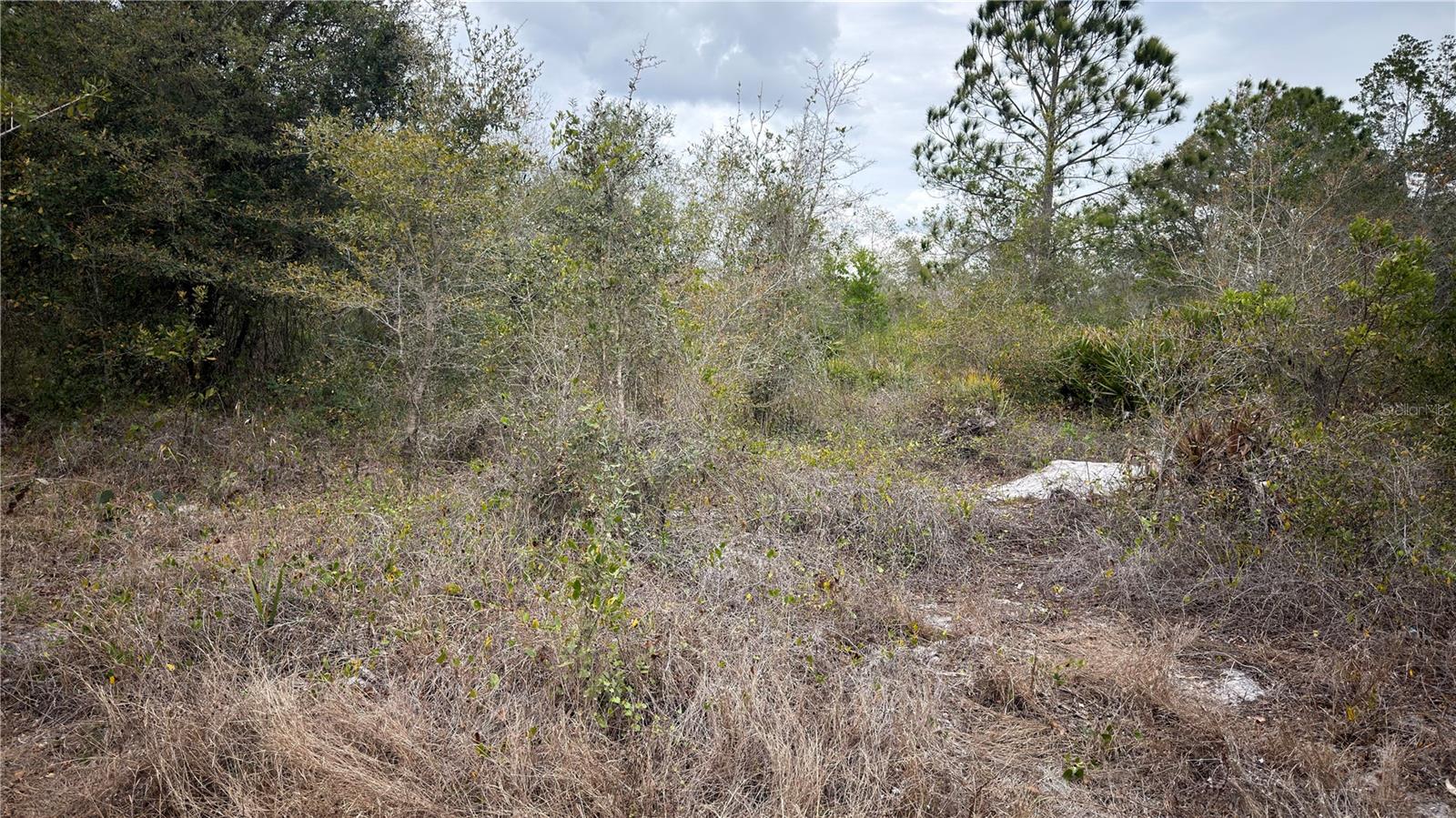 HIGHLANDS PARK ESTATE - Land