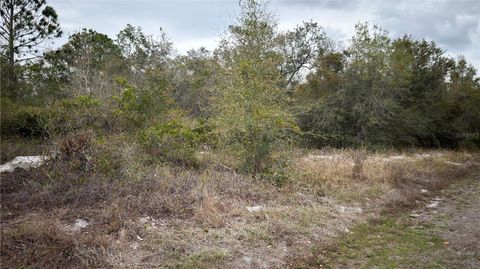 — beds bed, — baths bath property at 336 Pershing Avenue, Lake Placid, FL 33852