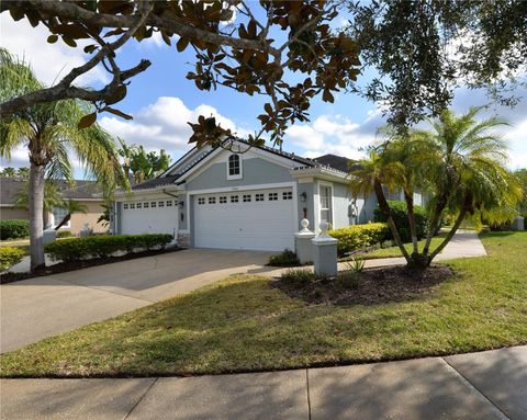 9856 GINGERWOOD DRIVE TAMPA FL 33626