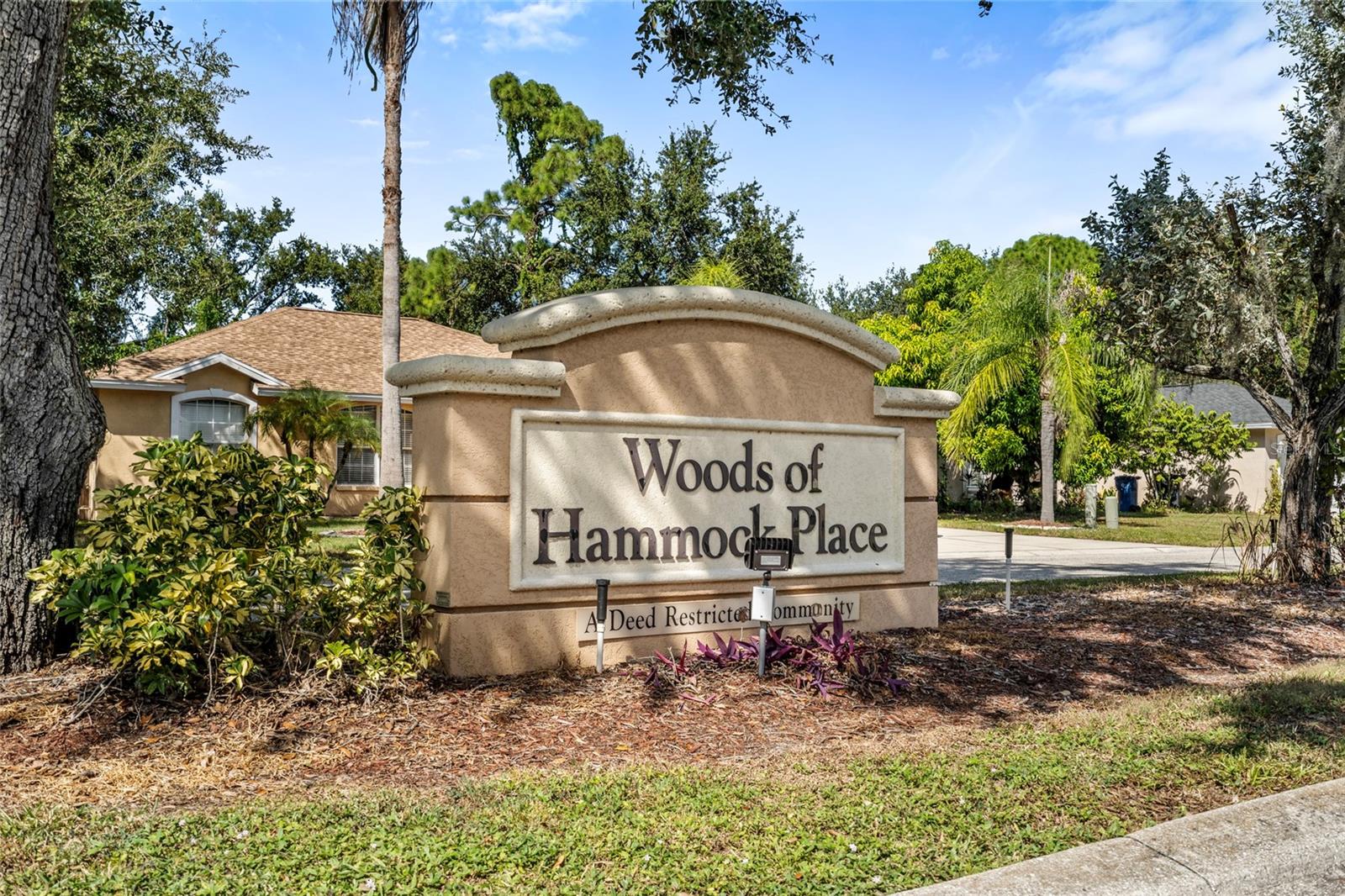HAMMOCK PLACE II - Residential