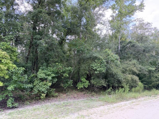 0 NE 756 STREET, OLD TOWN, FL 32680 - Image 89530f8b0ba5ceb7cb010c8796bf458a/3432081078